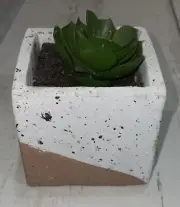 Old East Main Faux Artificial Succulent Plant in Pot Home/Office Decor NEW