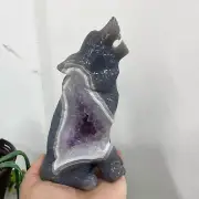 1.85LB Natural agate Quartz Carved tiger Skull Crystal healing Reiki Gem Decor