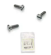 Oliver Peoples OV 5556S R-4 Gunmetal Replacement Backside Lenses Screws Genuine