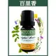 【歐丹尼】百里香Thyme精油10ml-單方純精油