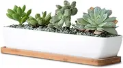 11.1 inch Long Rectangle White Ceramic Succulent Planter Pots/Mini Flower Plant Containers with Bamboo Saucers. Product Size:11.1x2.36x1.77inch. (Long Rectangle)