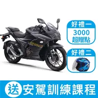 在飛比找Yahoo奇摩購物中心優惠-SUZUKI 台鈴機車 GIXXER SF 250跑車版(油