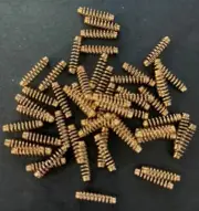 Lock Cylinder 530 Springs - Locks Springs - Locksport - Suits Lockwood - Pack 50