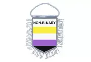 Mini banner flag pennant window mirror cars country banner non binary pride