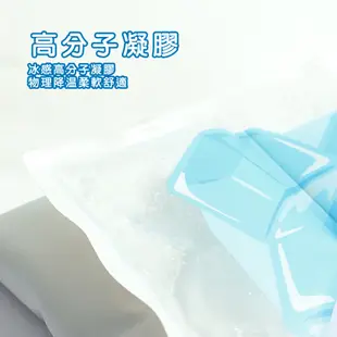 台灣現貨｜勁涼❄️ Tinypet冰感寵物涼墊 冷凝墊 冰涼墊 凝膠墊 睡墊 貓窩 寵物散熱墊 冰墊 散熱墊 寵物床