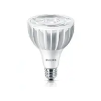 在飛比找樂天市場購物網優惠-PHILIPS 飛利浦 LED PAR30L 20W 220