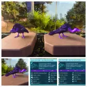 ASA/ ARK/ PVE BABY PAIR VULTURE #202