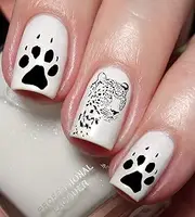 Leopard Cheetah Nail Art Decal Sticker