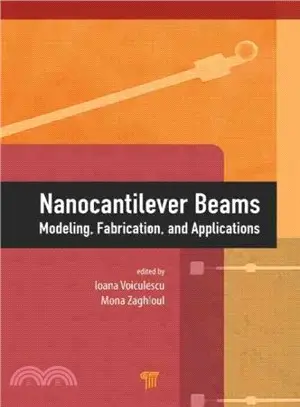 Nanocantilever Beams