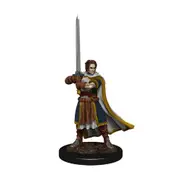 Dungeons & Dragons Premium Human Fighter Male Miniature RPG Action Figure 14y+
