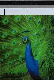 200 Bags 100 10x13 Blue Peacock, 100 10x13 Peacock Feathers Designer Poly Mailer