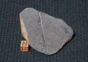 Possible L6 w/Shock (153 g) NWA xxx Chondrite Meteorite end cut