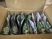 Set Of 24 Takara Tomy Beyblade B- 135 Booster