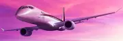 Misubishi Regional Jet Airplane Wood Model Free Ship