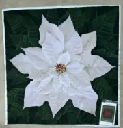 Quilting Panel And Pattern