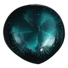 Coconut Shell Heart Candy Bowl 14*14*3 CM Coconut Bowl Key Bowl Bedroom