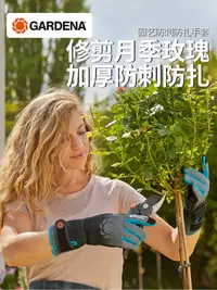 在飛比找蝦皮購物優惠-現貨 德國進口嘉丁拿GARDENA 園藝防刺防扎手套 花園玫