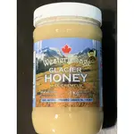 代購 限量 加拿大WESTERN SAGE WS GLACIER HONEY 100% 蜂蜜1KG