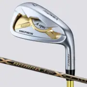 HONMA BERES A-spec Iron SW Flex R 3STAR 3S ARMRQ A-spec 47
