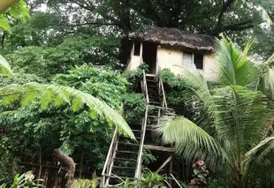 塔納島生態探險平房旅館