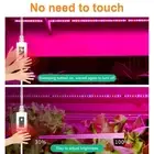Led Grow Light Gradual Stepless Dimming Easy to Stick Usb Full Spectrum Led