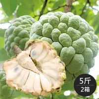 在飛比找Yahoo奇摩購物中心優惠-《沁甜果園》大目釋迦-大果(含箱5斤/4~5顆/箱，共2箱)