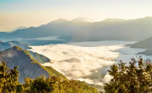 嘉義｜鐵道旅遊.高鐵兩人成行.阿里山觀日出.芬多精森林浴.奮起湖老街三日遊