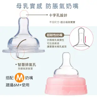 DL台灣製寬口雙蓋玻璃奶瓶240ML 母乳儲存瓶 銜接AVENT吸乳器(松鼠款)【EA0067】 (6.6折)