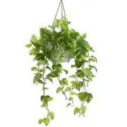 Glamorous Fusion Pothos Bush Artificial Fake Plant Decorative Arrangement 104cm
