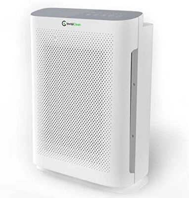 Air Purifier for Home Allergies & Pets | 4-in-1 H13 True HEPA Filter/Ionizer/Car