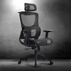 Ergonomic Office Chair with Breathable Mesh Adjustable Headrest High Back