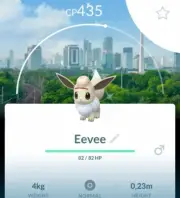 Pokémon Shiny Eevee Explorer Hat Background Jakarta Indonesia Background - TRADE