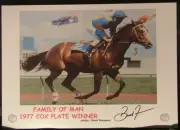 FAMILY OF MAN 1977 COX PLATE signed Print