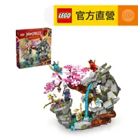 在飛比找PChome24h購物優惠-LEGO樂高 旋風忍者系列 71819 龍石神殿