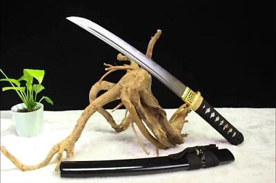 Japanese Tanto Sword Fighting Knife Fixed Blade Folded Steel Tactical Small Mini