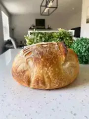 Sourdough Starter Dehydrated Sour Strong San Francisco - 15 Gram Bag