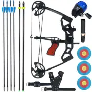 40lbs Mini Fishing Compound Bow Set Right Left Hand Laser Sight Hunting Archery