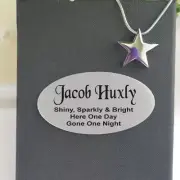 Star Memorial Urn Cremation Ash Necklace In Personalised Box, loss, Sympathy, Be