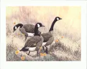 Chris Forrest Canadian Geese Morning Sojourn Original Limited Edition 28x22 in