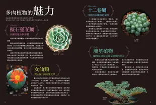 多肉植物栽種聖經完全圖鑑版630: 集結60年研究經驗, 栽培年曆獨家收錄! 教你從外觀辨識、種植技巧、到組合盆栽應用, 走進迷人的多肉世界!