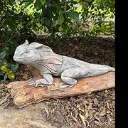 Frill Neck Lizard On A Log Garden Statue Ornament Sculpture Concrete Australian Made