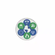 Natural Disaster Response Team Patch Embroidered Iron-on Applique Souvenir