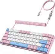 custom mechanical keyboard 65 Percent RGB LED