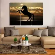 Horse Canvas Wall Art Images Pictures Wallpaper Mural Decoration Design Artwork