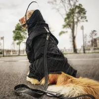 在飛比找松果購物優惠-狗狗雨衣四腳全包中大型犬雨披金毛邊牧沖鋒衣防水寵物雨衣原創款