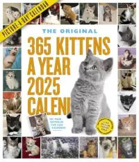 在飛比找博客來優惠-365 Kittens-A-Year Picture-A-D