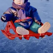 Snow Sled with Pull Rope Grass Sled Outdoor Winter Toy Lightweight Easy to Use