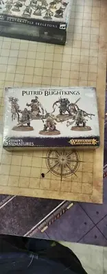 Warhammer Putrid Blightkings Sigmar Maggotkin of Nurgle Vanguard NEW on SPRUE