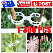 1-300pcs Plant Tomato Clips Trellis Garden Vegetable Binder Twine Plant Support