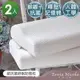 Tonia Nicole東妮寢飾 銀抗菌舒眠記憶枕(2入)